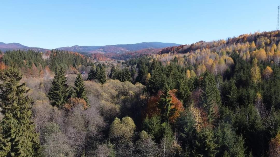 Patakvölgye Vendégház Izvoare (Harghita) Exterior foto