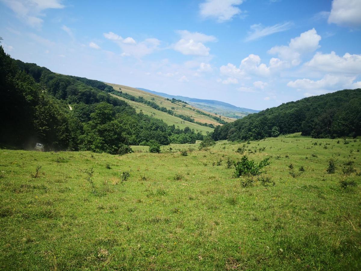 Patakvölgye Vendégház Izvoare (Harghita) Exterior foto